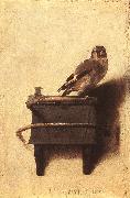 FABRITIUS, Carel The Goldfinch dfgh oil painting